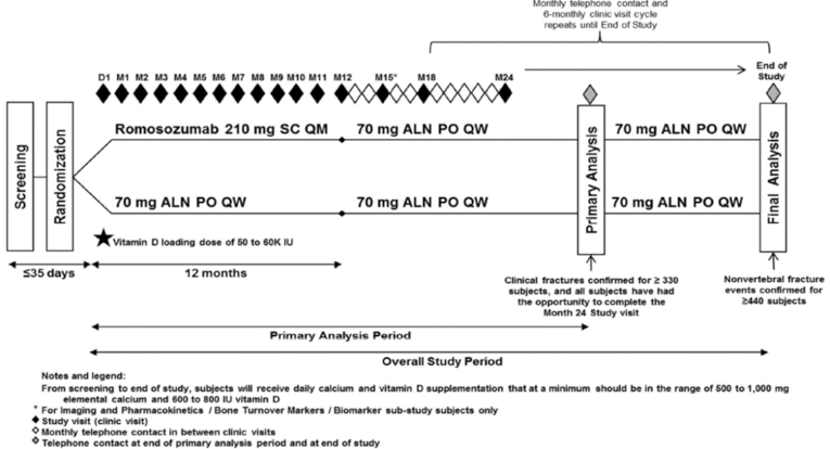 The figure below outlines the primary analysis period and the overall study period of the ARCH study. In the primary analysis period, patients were randomized to romosozumab or alendronate for 12 months, followed by open-label alendronate treatment for an additional 12 months. The overall study period included the primary analysis period and an extended treatment period with alendronate. The extended treatment period ended when 440 nonvertebral fracture events were reached.